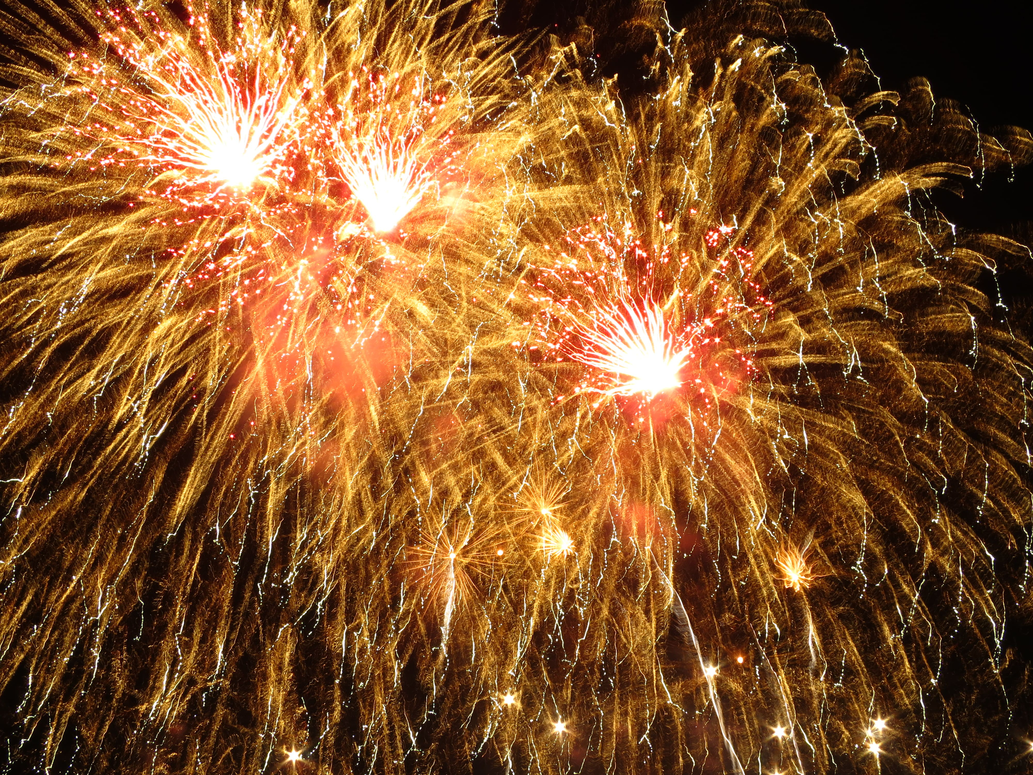 Pyronale in Berlin 13